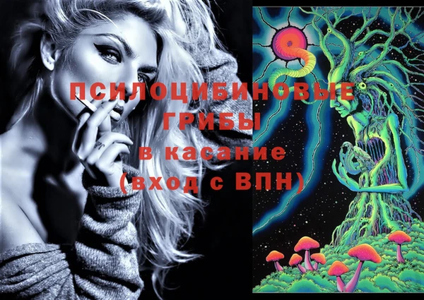 хмурый Белоозёрский